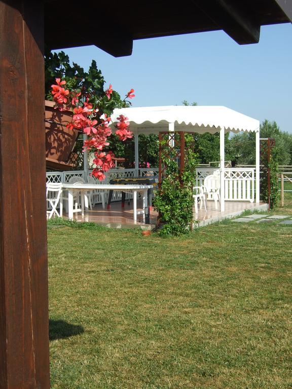 Agriturismo La Casa Della Lavanda - Il Rustico 마리나디몬테마르시아노 외부 사진