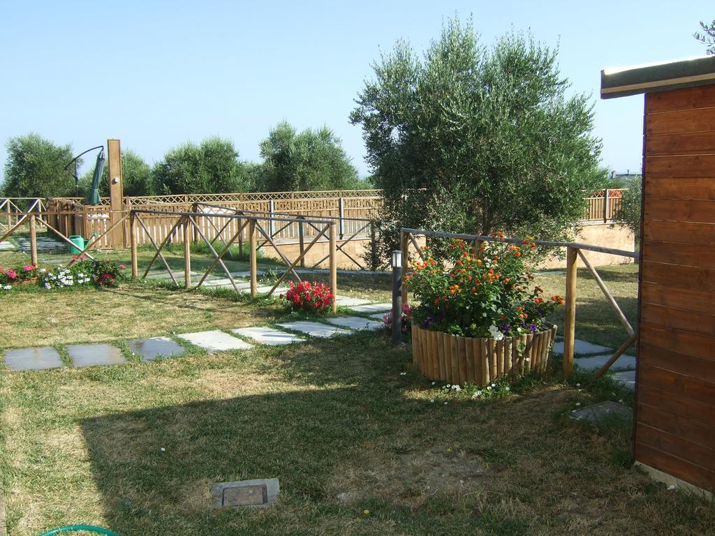 Agriturismo La Casa Della Lavanda - Il Rustico 마리나디몬테마르시아노 외부 사진