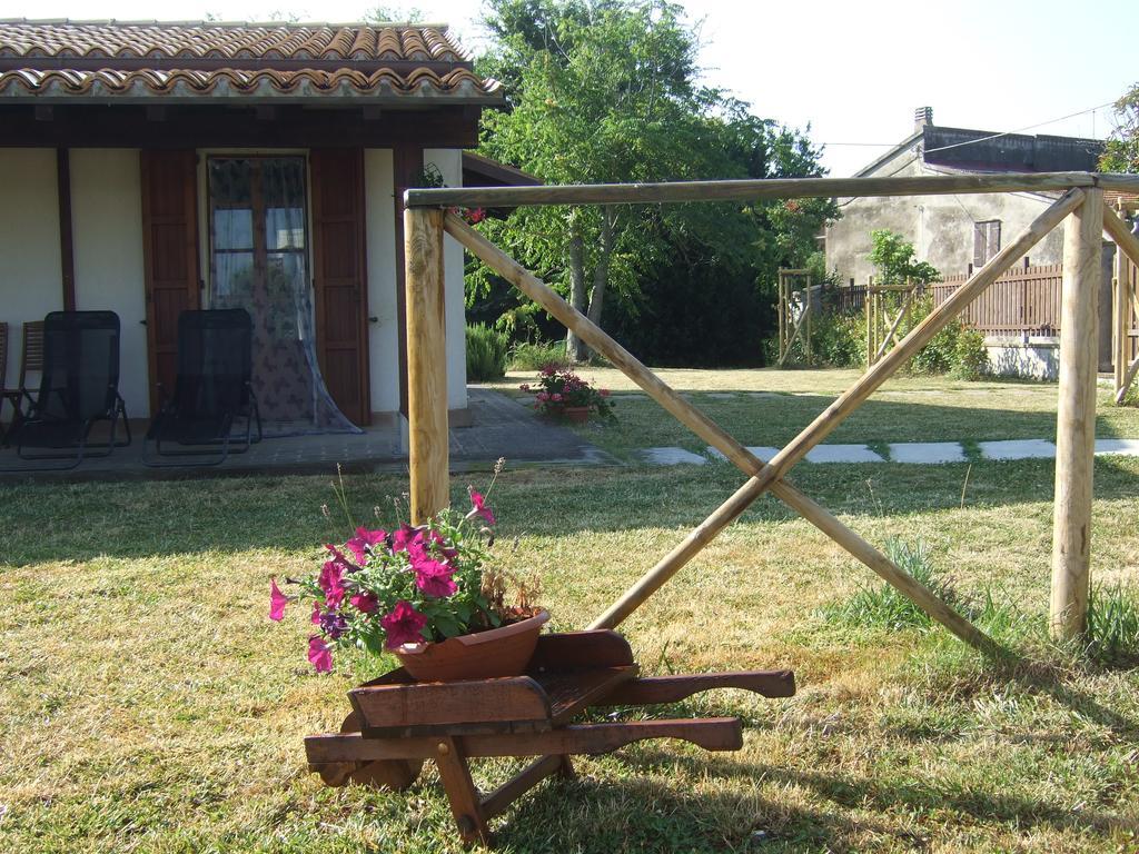 Agriturismo La Casa Della Lavanda - Il Rustico 마리나디몬테마르시아노 외부 사진