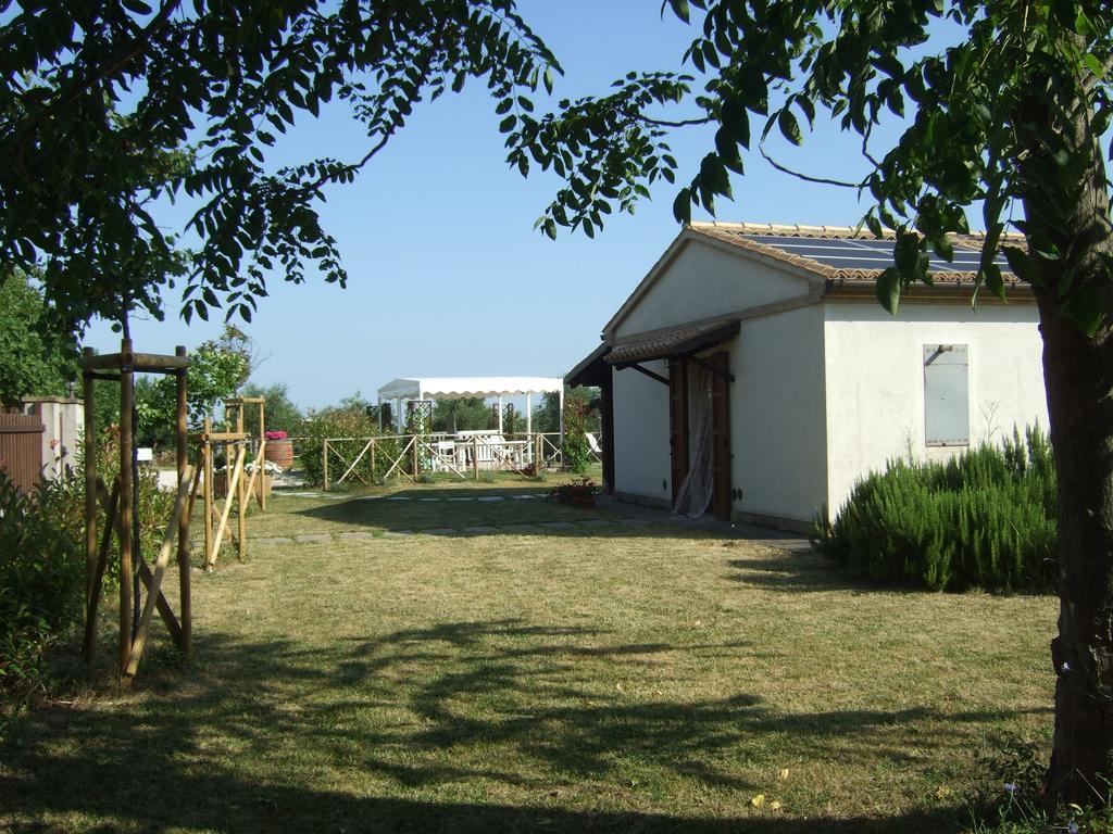 Agriturismo La Casa Della Lavanda - Il Rustico 마리나디몬테마르시아노 외부 사진